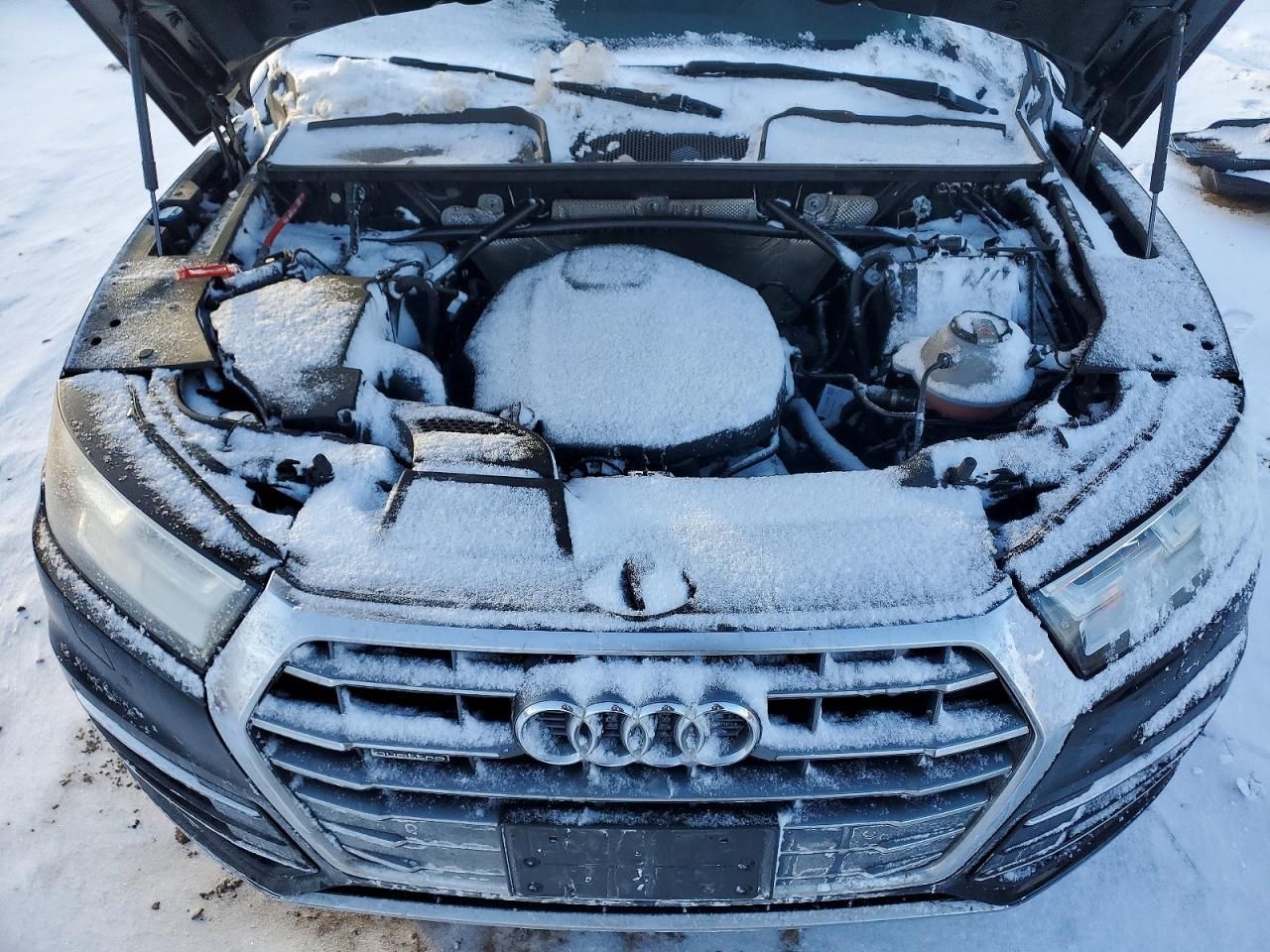 2019 Audi Q5 Premium Plus