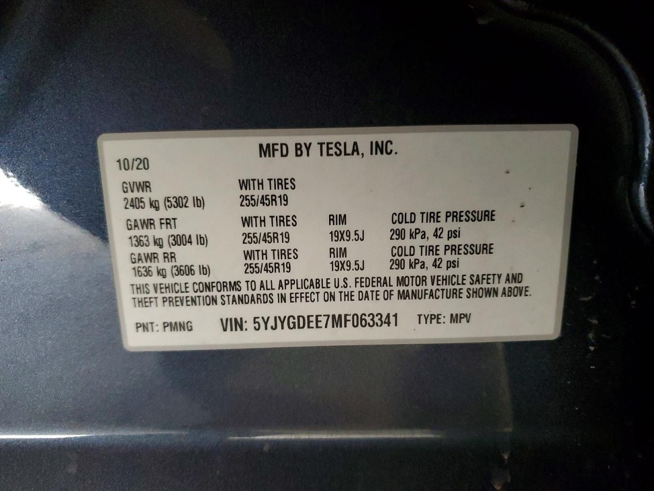 2021 Tesla Model y