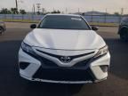 2020 Toyt 2020 Toyota Camry se Night Shade Edition