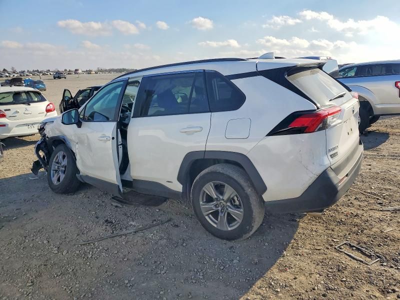 2024 Toyota Rav4 xle