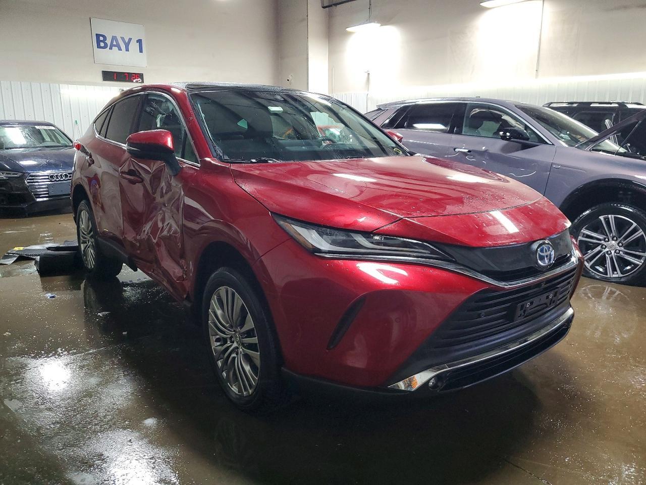 2024 Toyota Venza le