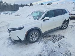 Honda salvage cars for sale: 2023 Honda Cr-v ex