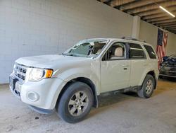 2011 Ford Escape for sale in Cedar Rapids, IA