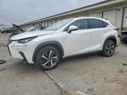 2018 Lexus Nx 300 Base for sale in Louisville, KY