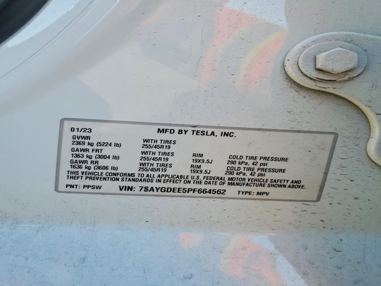 2023 Tesla Model y