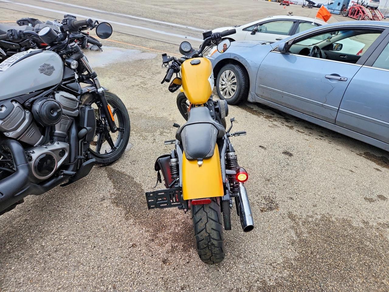 2019 Harley-Davidson XL883 N