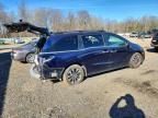 2024 Honda Odyssey exl