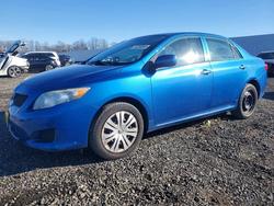 2010 Toyota Corolla Base en venta en Waldorf, MD