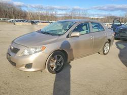 Toyota salvage cars for sale: 2009 Toyota Corolla Base