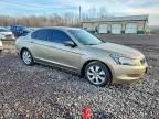 2008 Honda Accord ex