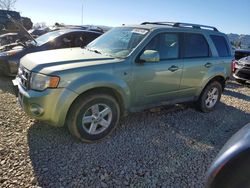 Ford Vehiculos salvage en venta: 2008 Ford Escape hev