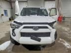 2019 Toyota 4runner Sr5/sr5 Premium