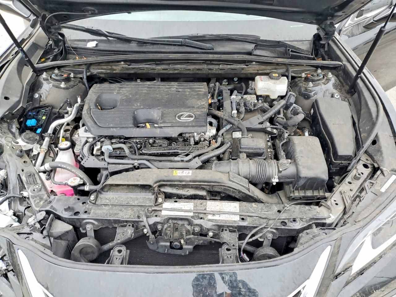 2024 Lexus Es 300h Base