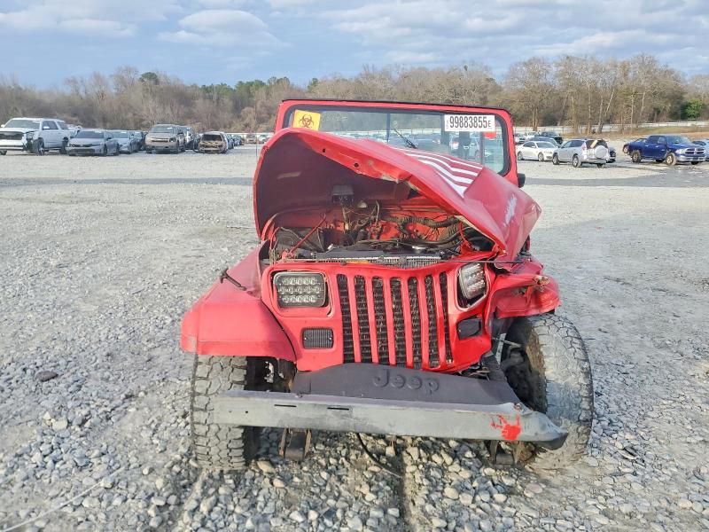 1992 Jeep Wrangler / yj Islander