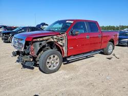 Ford salvage cars for sale: 2013 Ford F150 Supercrew