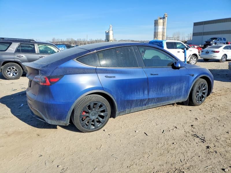 2021 Tesla Model y