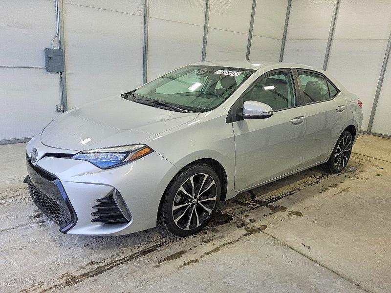 2019 Toyota Corolla l