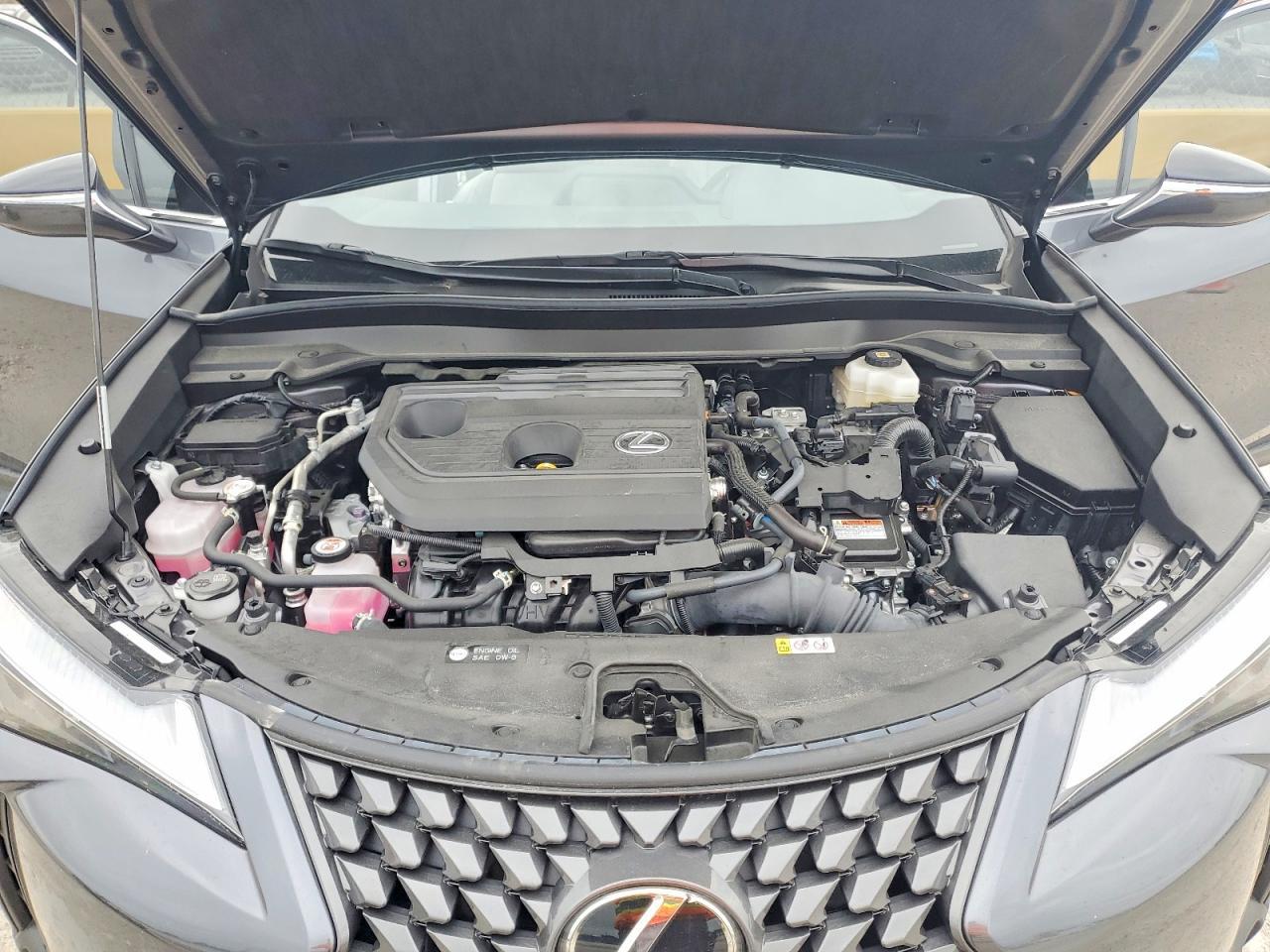 2025 Lexus Ux 300h Base