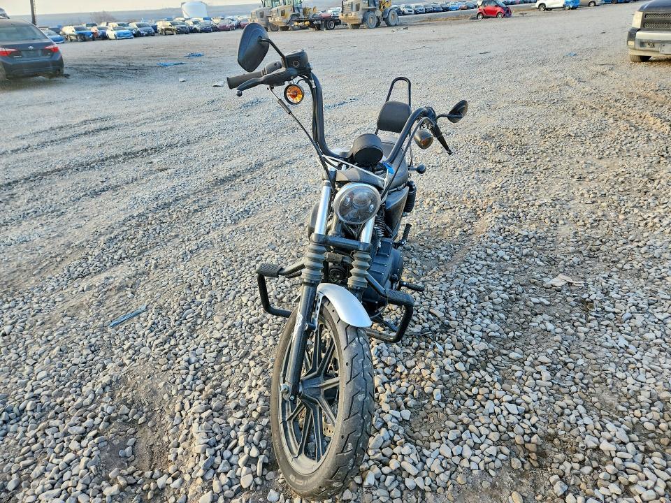 2020 Harley-Davidson XL1200 NS