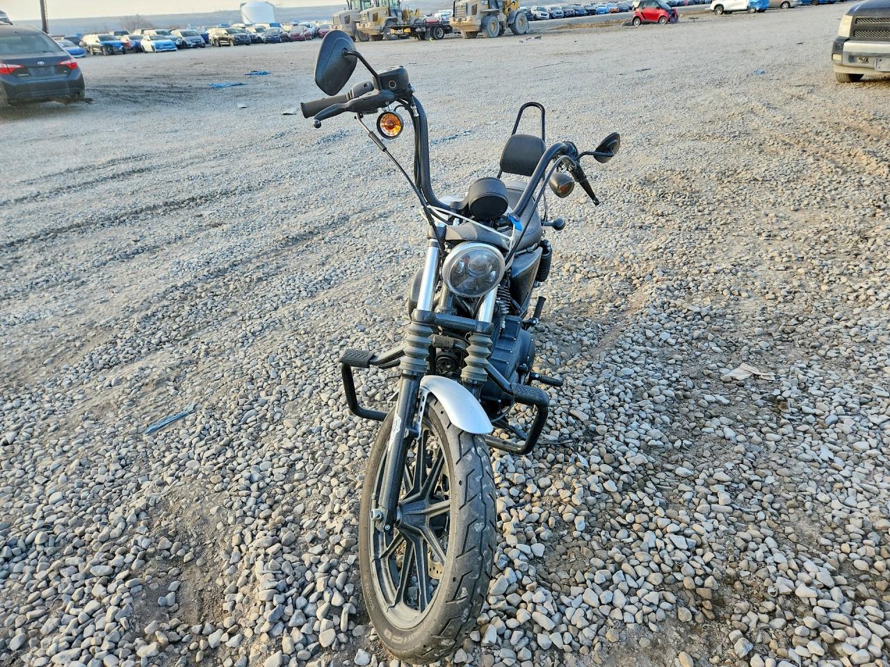 2020 Harley-Davidson XL1200 NS