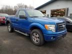 2009 Ford F150