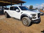 2017 Ford F150 Raptor
