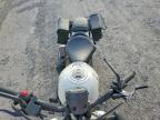 2025 Honda CMX500 A