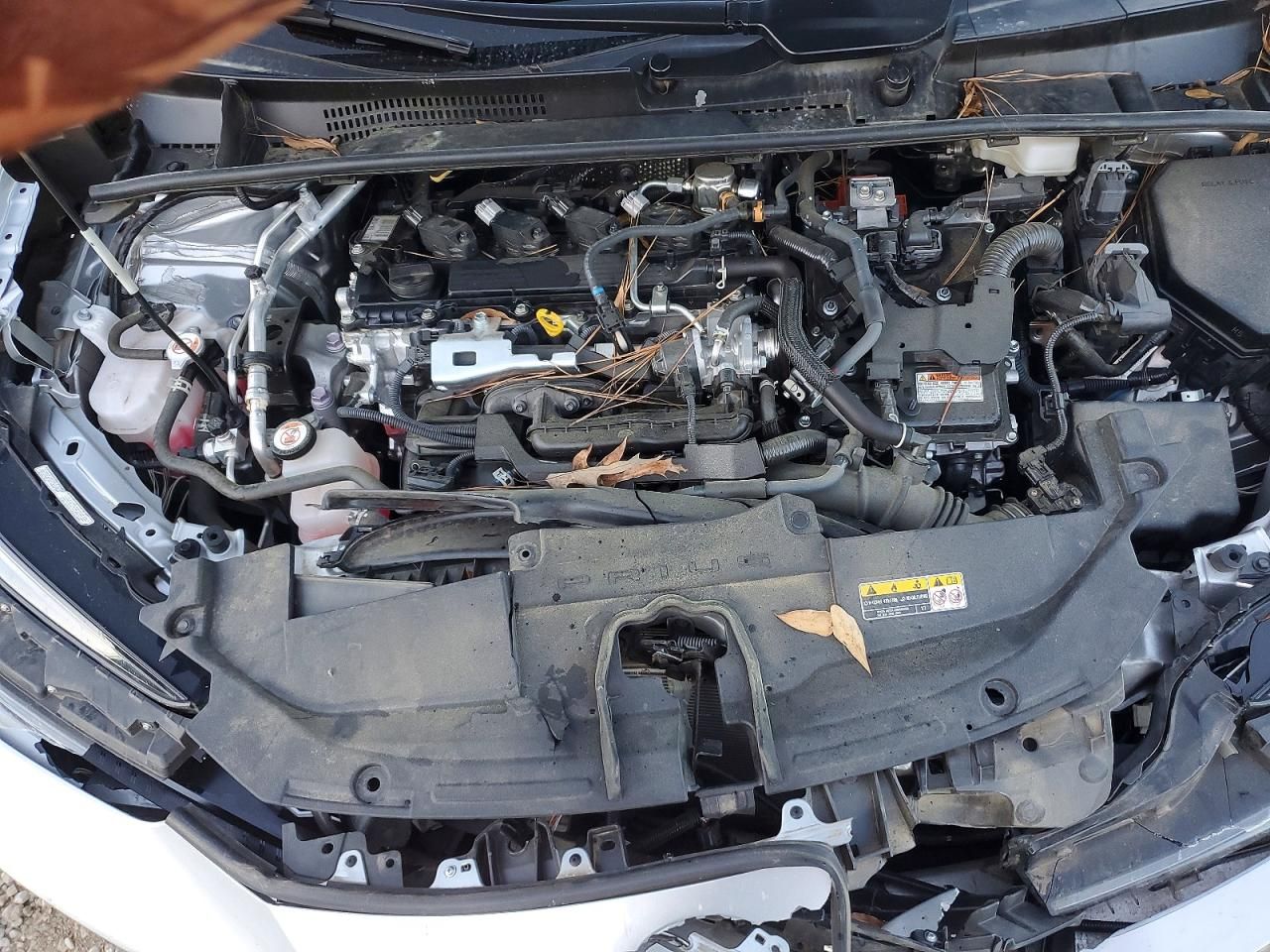 2023 Toyota Prius le