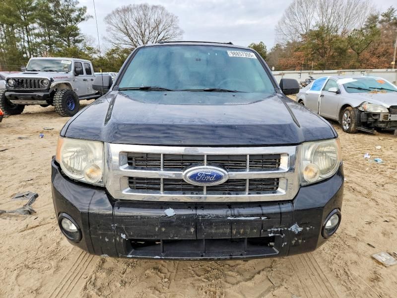 2008 Ford Escape xlt