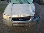 2003 Ford Escape xlt