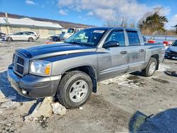 Salvage trucks for sale at Grantville, PA auction: 2006 Dodge Dakota Quad SLT