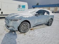 Ford salvage cars for sale: 2024 Ford Mustang Mach-e Premium