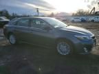 2015 Toyota Avalon Hybrid