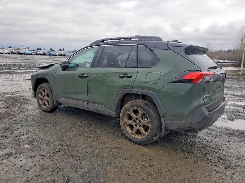 2025 Toyota Rav4 Woodland Edition