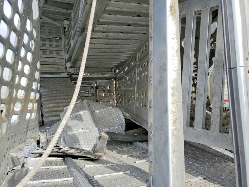 2013 Wilson Livestock