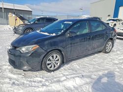 2014 Toyota Corolla l for sale in Elmsdale, NS