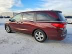 2019 Honda Odyssey exl