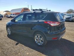 2016 Ford Escape se en venta en Kapolei, HI