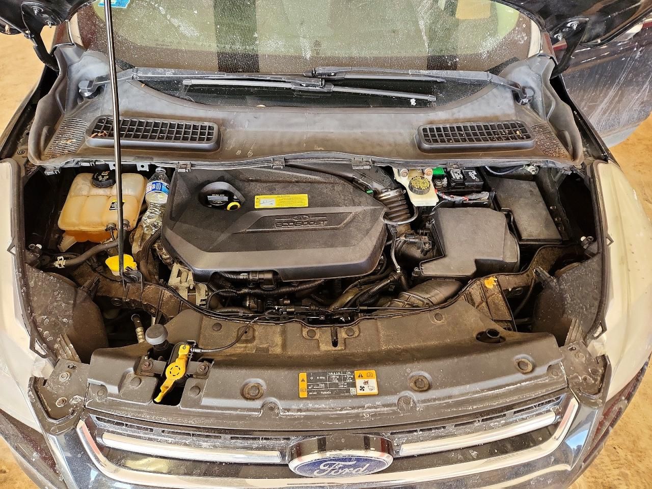 2013 Ford Escape sel