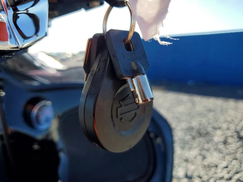 2021 Harley-Davidson Fltrx