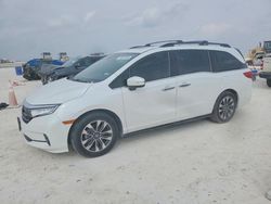 2024 Honda Odyssey exl en venta en Taylor, TX