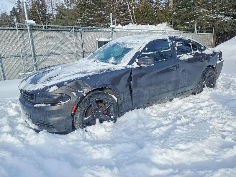 2019 Dodge Charger sxt 4DR