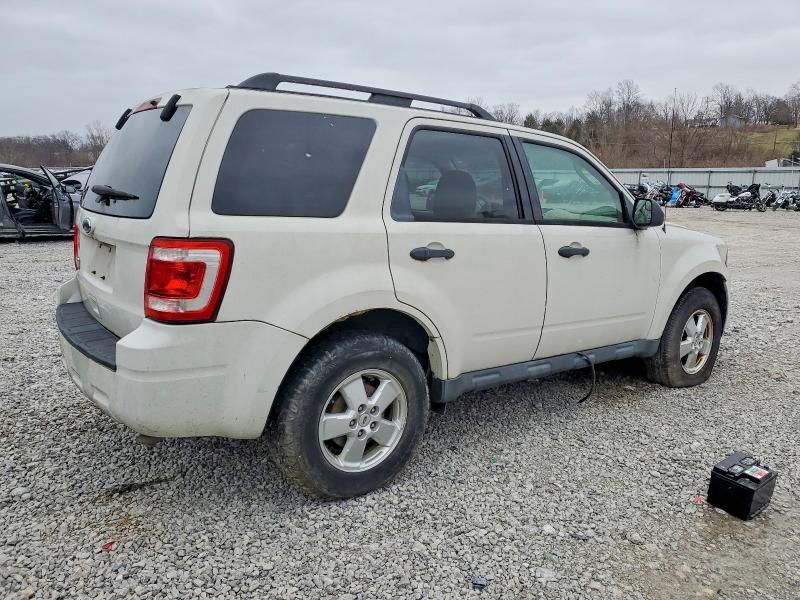 2010 Ford Escape xlt