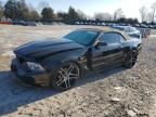 2010 Ford Mustang gt