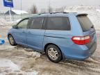 2005 Honda Odyssey ex
