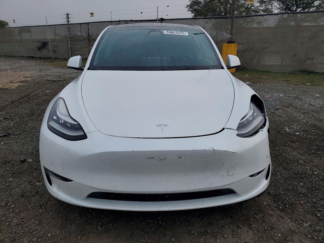 2020 Tesla Model y