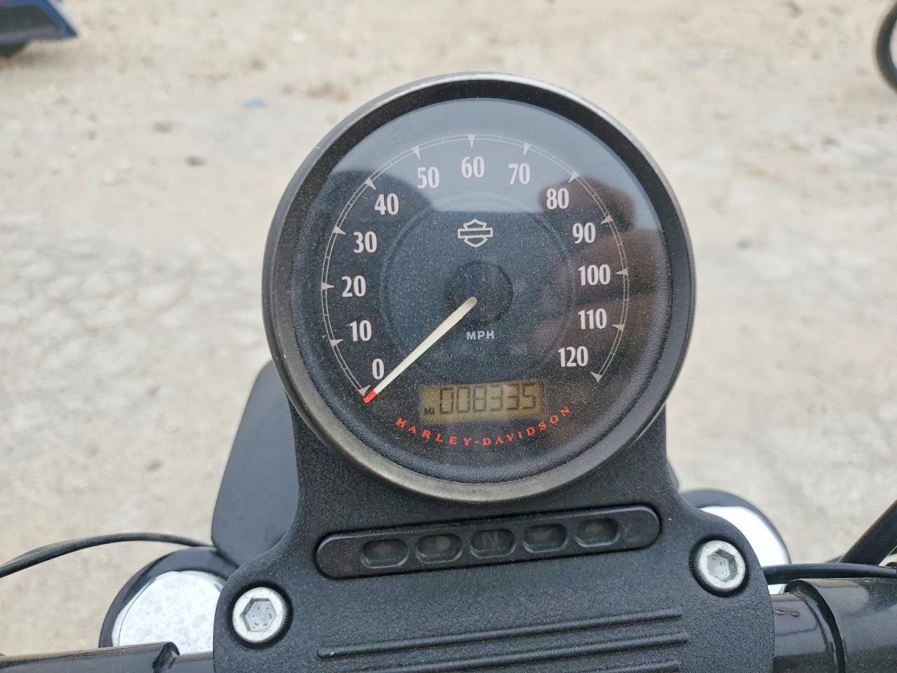 2019 Harley-Davidson XL883 N