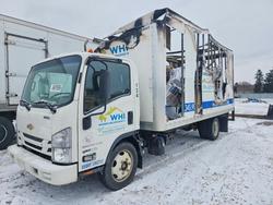 Salvage trucks for sale at Franklin, WI auction: 2021 Chev Rolet 5500HD BOX Truck