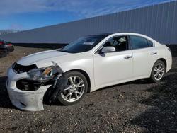 Salvage cars for sale from Copart Waldorf, MD: 2012 Nissan Maxima s