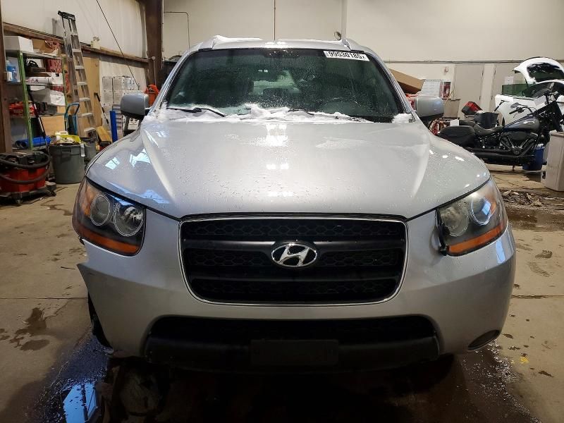 2009 Hyundai Santa fe gls